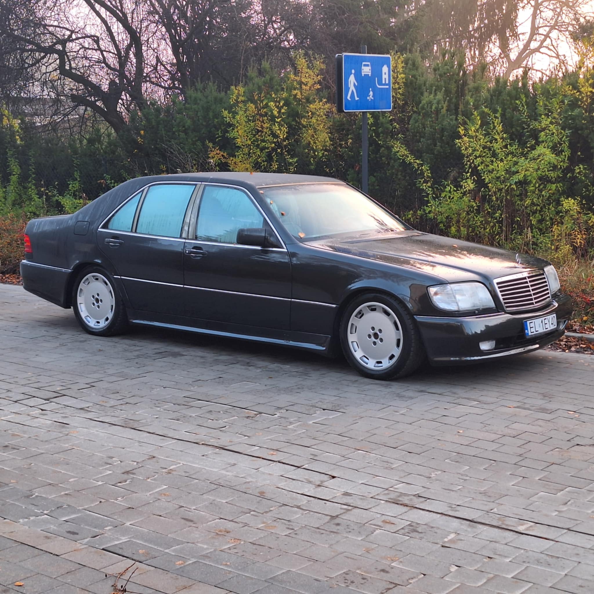 W140 SE/SEL AMG1 - obrazek 3
